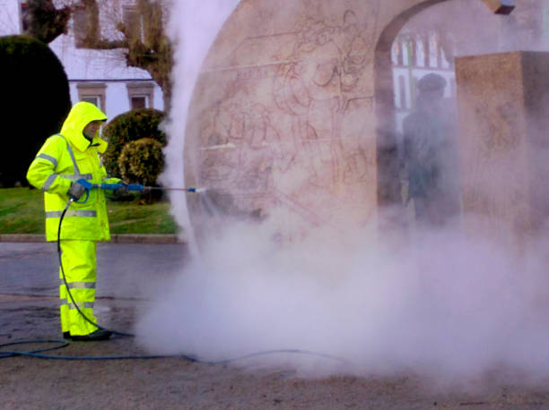 Best Deck Pressure Washing  in Dilkon, AZ